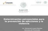 Determinantes psicosociales para la prevención de adicciones y la violencia Lic. Monserrat Lovaco Sánchez Directora de Prevención.