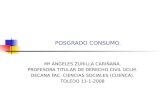 POSGRADO CONSUMO. Mª ÁNGELES ZURILLA CARIÑANA. PROFESORA TITULAR DE DERECHO CIVIL UCLM. DECANA FAC. CIENCIAS SOCIALES (CUENCA). TOLEDO 11-1-2008.