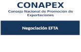 Negociación EFTA. I.Perfil del mercado EFTA II.Avances del Proceso III.Comercio Guatemala - EFTA IV.Oportunidades para Guatemala V.Implicaciones de no.