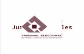 Autoridades Jurisdiccionales Electorales. Órganos que las conforman Suprema Corte de Justicia de la Nación Tribunal Electoral del Poder Judicial de la.