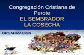 Congregación Cristiana de Perote EL SEMBRADOR LA COSECHA ORGANIZACION.