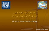 Instrumentación en cromatografía de gases M. en C. Omar Amador Muñoz Octubre 17-21, 2005.