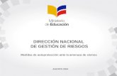 DIRECCIÓN NACIONAL DE GESTIÓN DE RIESGOS Medidas de autoprotección ante la amenaza de sismos AGOSTO 2014.