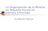 La Organización de la Minería en Pequeña Escala en Zamora Chinchipe Fundación Natura.
