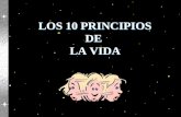 LOS 10 PRINCIPIOS DE LA VIDA LOS 10 PRINCIPIOS DE LA VIDA.