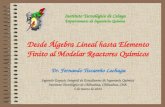 Desde Álgebra Lineal hasta Elemento Finito al Modelar Reactores Químicos Dr. Fernando Tiscareño Lechuga Segundo Espacio Integral de Estudiantes de Ingeniería.