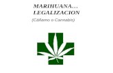 MARIHUANA… LEGALIZACION (Cáñamo o Cannabis). La marihuana es una planta común y silvestre. Al igual que la palma, la yuca, el helecho, o el ficus. Se.