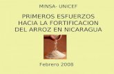PRIMEROS ESFUERZOS HACIA LA FORTIFICACION DEL ARROZ EN NICARAGUA MINSA- UNICEF Febrero 2008.