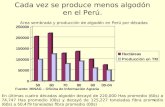 1 Cada vez se produce menos algodón en el Perú. Area sembrada y producción de algodón en Perú por décadas En últimas cuatro décadas algodón decayó de 220,000.