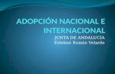 JUNTA DE ANDALUCÍA Esteban Román Velarde. Adopción nacional Características de los menores susceptibles de adopción en Andalucía - Se trata de niños abandonados.