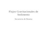Flujos Gravitacionales de Sedimento Secuencia de Bouma.