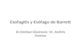 Esofagitis y Esófago de Barrett Dr.Esteban Glasinovic- Dr. Andrés Donoso.