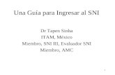 1 Una Guía para Ingresar al SNI Dr Tapen Sinha ITAM, México Miembro, SNI III, Evaluador SNI Miembro, AMC.