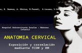 ANATOMIA CERVICAL Exposición y correlación mediante TCDM y RM O.Ivanytska, B. Romero, A. Givica, R.Fornel, A.Lozano, V.Sar Hospital Universitario Insular.
