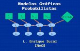 Modelos Gráficos Probabilistas L. Enrique Sucar INAOE StSt S t+1 S t+2 S t+3 D t-1 Utilidad EEEE DtDt D t+1 D t+2.