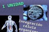 I UNIDAD Integración célula organismo. Diferenciación celular.