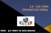 El estudio de la cultura organizacional es un fenómeno relativamente nuevo a nivel mundial; antes de 1980, eran pocos los autores que se ocupaban de este.