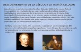 DESCUBRIMIENTO DE LA CÉLULA Y LA TEORÍA CELULAR Los primeros conocimientos sobre la célula datan de 1665, fecha en que Robert Hooke publicó los resultados.