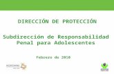 DIRECCIÓN DE PROTECCIÓN Subdirección de Responsabilidad Penal para Adolescentes Febrero de 2010.