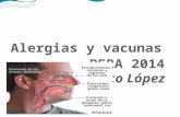Alergias y vacunas PERA 2014 Lic. Mixco López. Que son? es una reacción desproporcionada del sistema inmunitario a una sustancia que es inofensiva para.