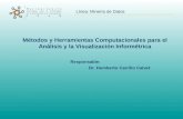 Línea: Minería de Datos Métodos y Herramientas Computacionales para el Análisis y la Visualización Informétrica Responsable: Dr. Humberto Carrillo Calvet.