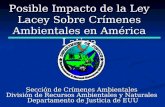 Posible Impacto de la Ley Lacey Sobre Crímenes Ambientales en América Latina Sección de Crímenes Ambientales División de Recursos Ambientales y Naturales.