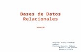 Bases de Datos Relacionales Preparó: Ismael Castañeda Fuentes Fuentes:Manuales Sybase Manuales SQL Server Manuales Oracle TRIGGERS.