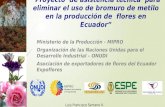 “Proyecto de asistencia técnica para eliminar el uso de bromuro de metilo en la producción de flores en Ecuador” Ministerio de la Producción - MIPRO Organización.