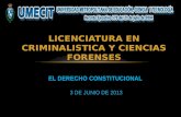 LICENCIATURA EN CRIMINALISTICA Y CIENCIAS FORENSES EL DERECHO CONSTITUCIONAL EL DERECHO CONSTITUCIONAL 3 DE JUNIO DE 2013.