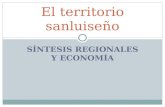SÍNTESIS REGIONALES Y ECONOMÍA El territorio sanluiseño.