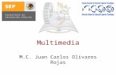 Multimedia M.C. Juan Carlos Olivares Rojas Introducción La multimedia es como su nombre lo indica, es la combinación de múltiples medios (texto, imagen,