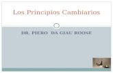 DR. PIERO DA GIAU ROOSE Los Principios Cambiarios.