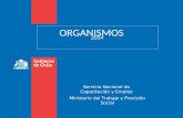 ORGANISMOS 2014 Servicio Nacional de Capacitación y Empleo Ministerio del Trabajo y Previsión Social.