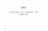 DNS1 Servidor de nombres de dominio. DNS2 El fichero “/etc/hosts” Su finalidad es facilitar el manejo de direcciones IP. Ejemplo  es equivalente.