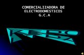 COMERCIALIZADORA DE ELECTRODOMESTICOS G.C.A. VISION Ser una organización líder en el ámbito nacional e internacional, reconocida por su alto nivel de.