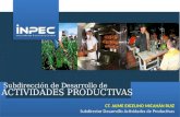 Subdirección de Desarrollo de CT. JAIME EXCELINO MICAHÁN RUIZ Subdirector Desarrollo Actividades de Productivas.