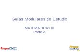 Guías Modulares de Estudio MATEMATICAS III Parte A.