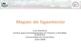 Mapas de ligamiento Luis Barboza Centro para investigaciones en Granos y Semillas (CIGRAS) Universidad de Costa Rica Julio 2009.