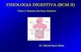 FISIOLOGIA DIGESTIVA (BCM II) Clase 1: Sistema Nervioso Entérico Dr. Michel Baró Aliste.