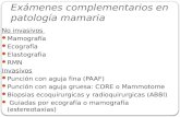 Exámenes complementarios en patología mamaria No invasivos Mamografía Ecografía Elastografia RMN Invasivos Punción con aguja fina (PAAF) Punción con aguja.