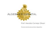 ÁLGEBRA ELEMENTAL Prof: Haroldo Cornejo Olivari Presione [enter] para próxima diapositiva.