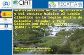 Vulnerabilidad de la agricultura y del recurso hídrico al cambio climático en la región Andina de Colombia, Ecuador y Perú Decision and Policy Analysis.