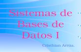 Sistemas de Bases de Datos I Cristhian Arrúa. ¿Qué es una Base de Datos?