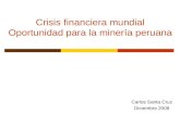 Crisis financiera mundial Oportunidad para la minería peruana Carlos Santa Cruz Diciembre 2008.
