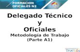 Delegado Técnico y Oficiales Metodología de Trabajo (Parte A1) FORMACION OFICIALES N3.
