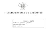 Reconocimiento de antígenos Inmunología Profesora. Q BP Nancy Rodiles Valentín Urban Ortiz 2o de Medicina.