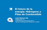 El futuro de la energía: Hidrógeno y Pilas de Combustible Leire Romero Elu Responsable I+D Fundación para el Desarrollo de las Nuevas Tecnologías del Hidrógeno.