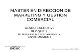 MASTER EN DIRECCION DE MARKETING Y GESTION COMERCIAL GESCO EXECUTIVE BLOQUE 1: BUSINESS MANAGEMENT & ENVIRONMENT Manuel Sevillano Bueno 2010 - 2011.
