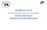 BORREGO ELITE La Formación de un Campeón ITESM GDA Reto AGOSTO-DICIEMBRE 2013.