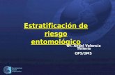 Pan American Health Organization Estratificación de riesgo entomológico Dr. Angel Valencia Tellería OPS/OMS.